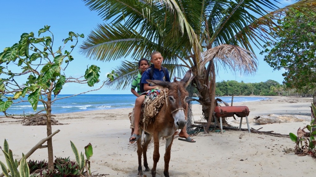 Photo of two boys riding a donkey at the beach