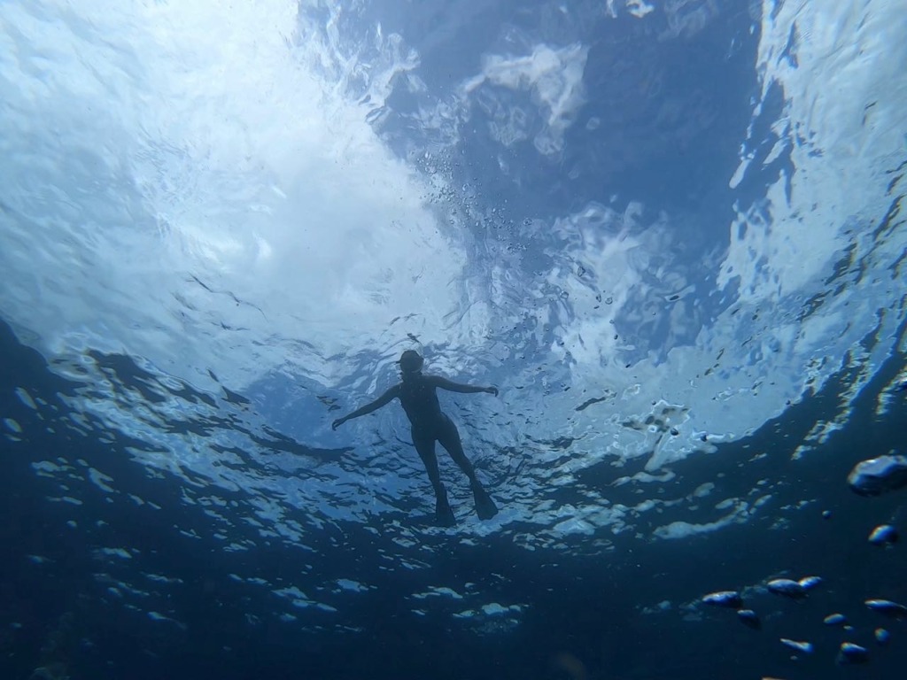 view of swimmer from below the water at Monkey Point in British Virgin Islands