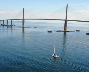 Satori Sailing under Sunshine Skyway Bridge